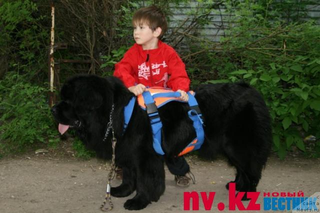 Фотография № 28307