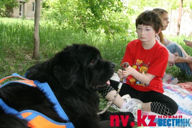 Фотография № 28308