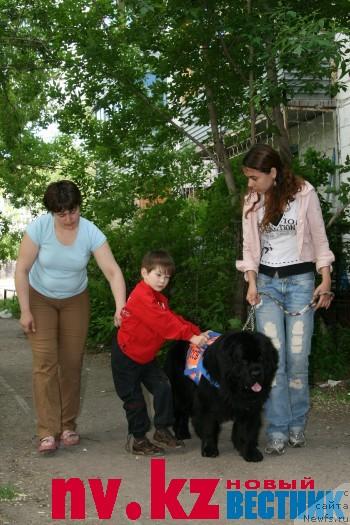 Фотография № 28309