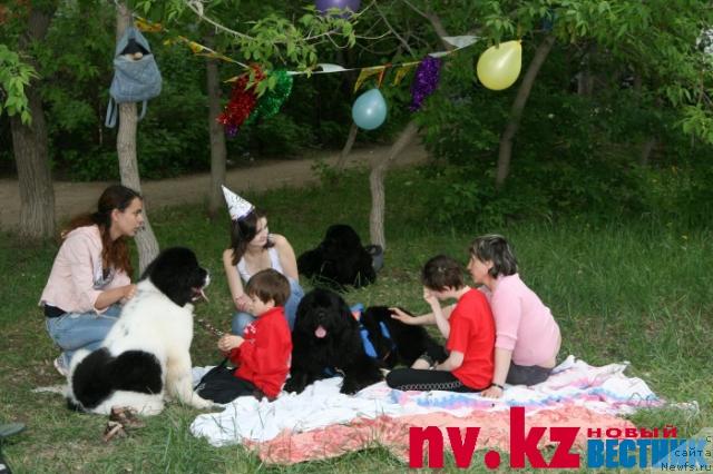 Фото: Katerinka Klassen (Катеринка Классен), ньюфаундленд Ottava (Оттава), ньюфаундленд Lord Luxemburg Ayular iz Tihogo Omuta (Лорд Люксембург Аюлар из Тихого Омута), ньюфаундленд Rokot Volny Varga Kara Ayular (Рокот Волны Варга Кара Аюлар)