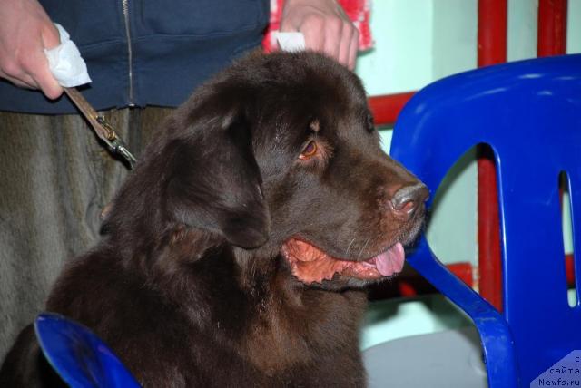 Фотография № 28319