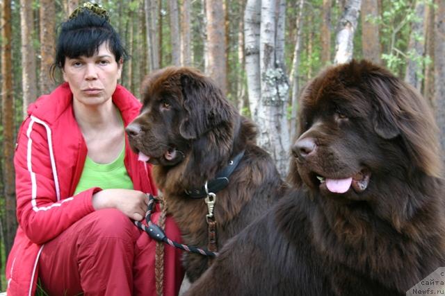 Фото: ньюфаундленд Zolushka Hrustal'naya Tufel'ka (Золушка Хрустальная Туфелька), ньюфаундленд Zorran Snejnyiy Podarok (Зорран Снежный Подарок)