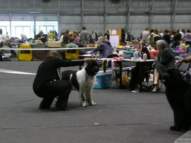 Фото: Мишелька