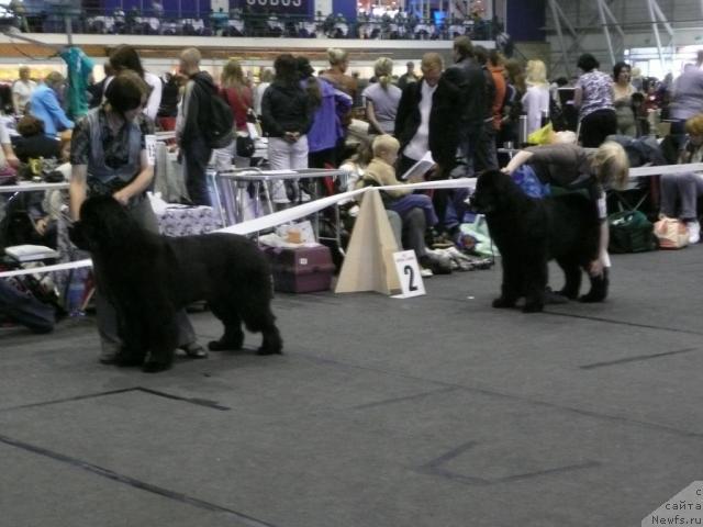 Фото: Ольга Королева