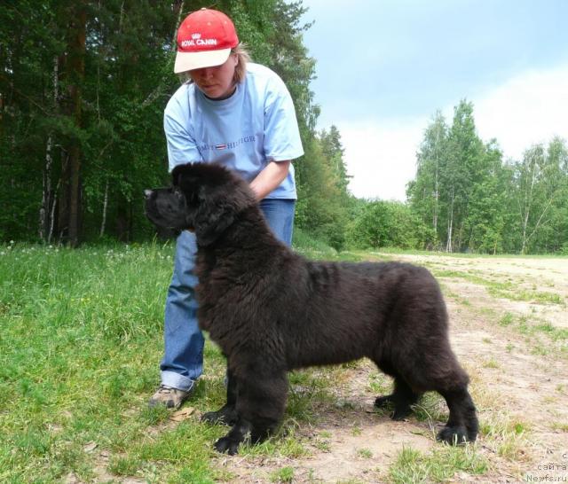 Фотография № 28407