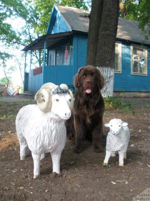 Фотография № 28439