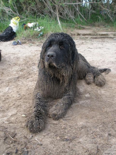 Фотография № 28443