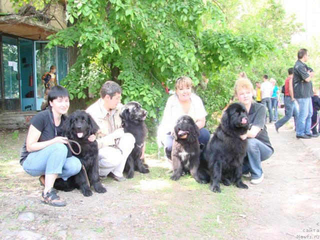 Фото: Дилан с Инной, Бонни с Данилом, ньюфаундленд Love Story iz Tihogo Omuta (Лав Стори из Тихого Омута), Farida Siryazeva (Фарида Сирязева), ньюфаундленд Jenev'ev Garni Ledyen (Женевьев Гарни Ледэн), Elena Syisa (Savina) (Елена Сыса (Савина))