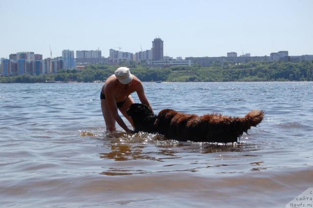 Фотография № 28450