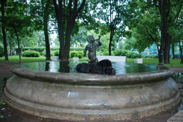 Фотография № 28455