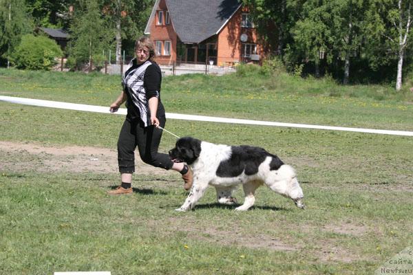 Фотография № 28472