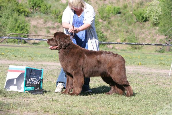 Фотография № 28474