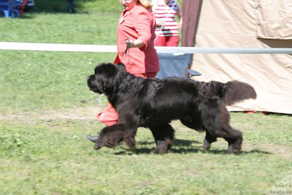 Фотография № 28478