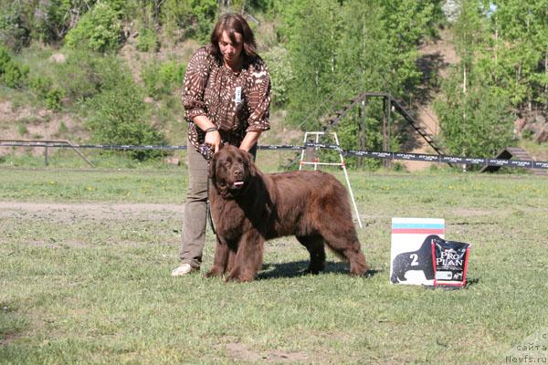 Фотография № 28480