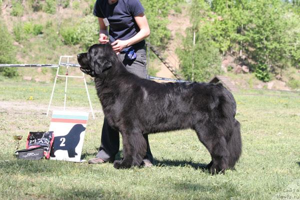 Фотография № 28482