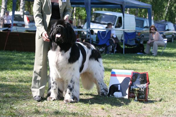 Фотография № 28483