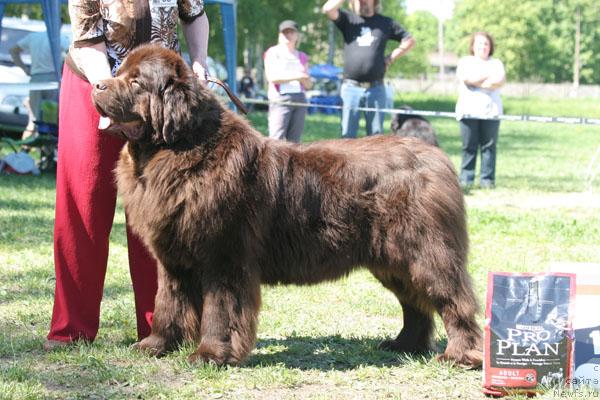 Фотография № 28484