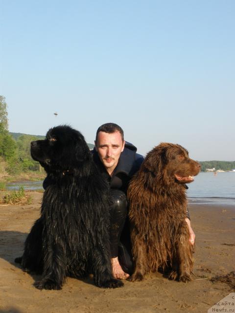 Фотография № 28494