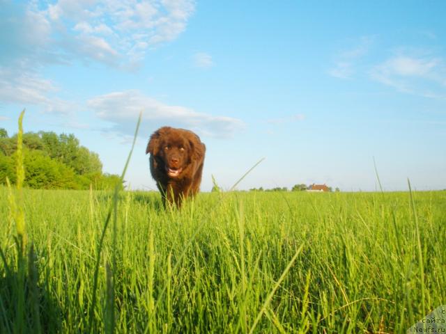 Фотография № 28520