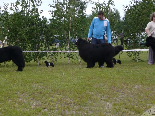 Фотография № 28521