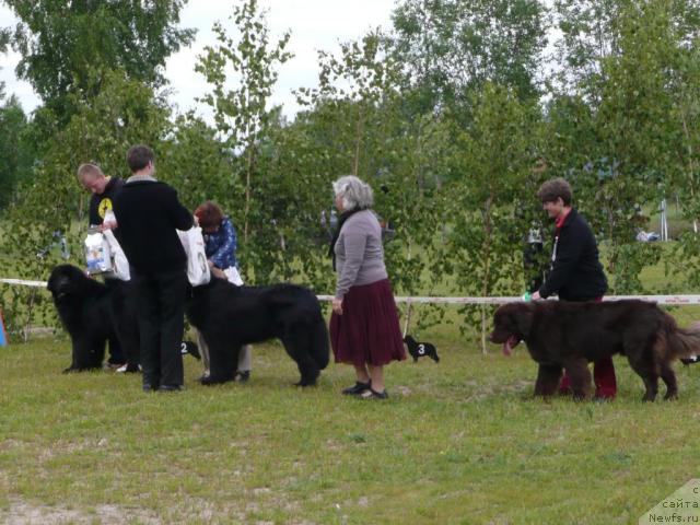 Фотография № 28524