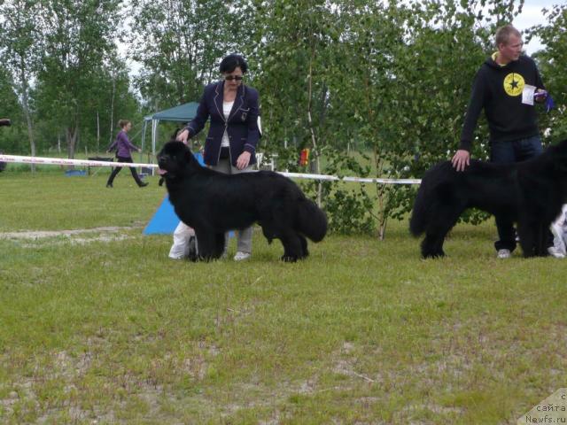 Фотография № 28525