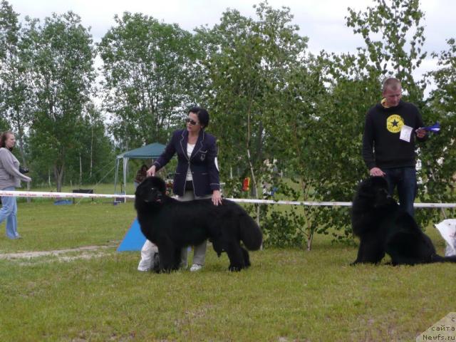 Фотография № 28527