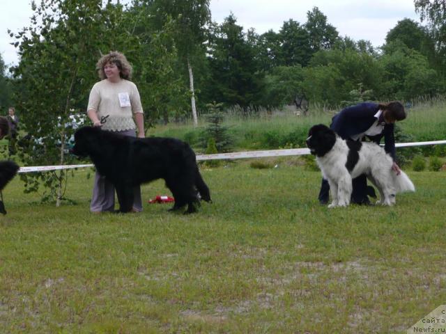 Фотография № 28532