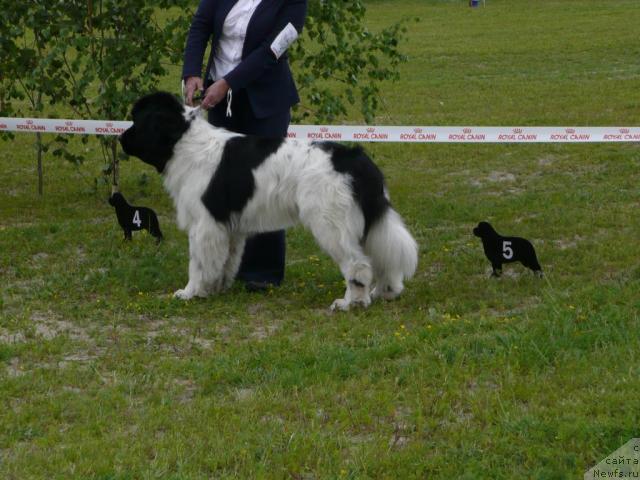 Фотография № 28533