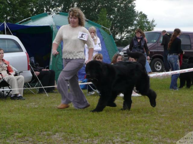 Фотография № 28534