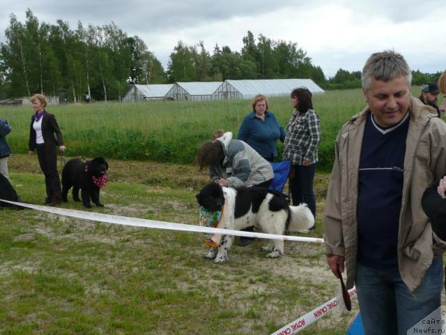 Фотография № 28535