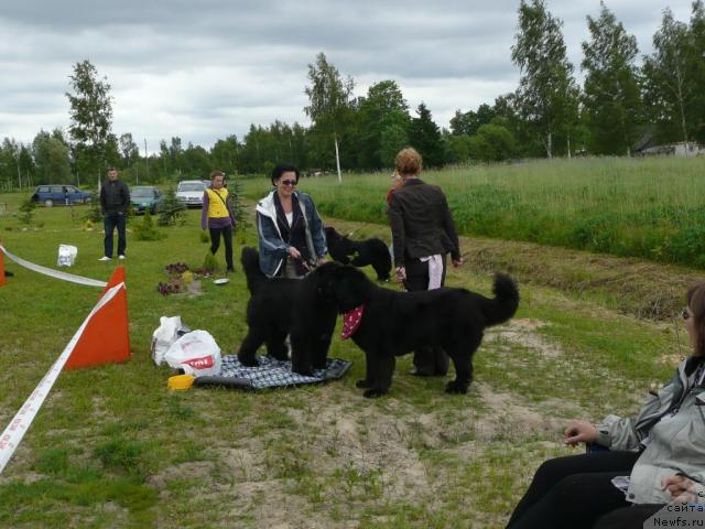 Фотография № 28536