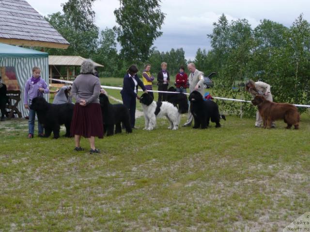 Фотография № 28540