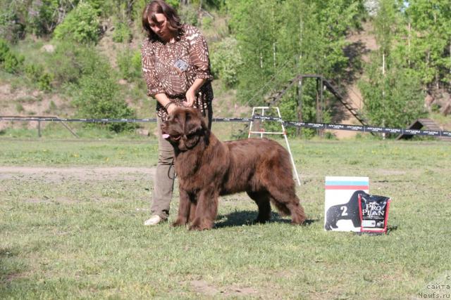 Фотография № 28543