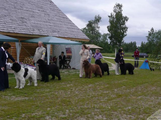 Фотография № 28544