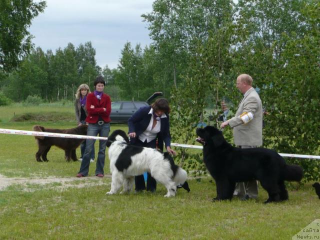 Фотография № 28546