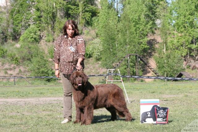 Фотография № 28548