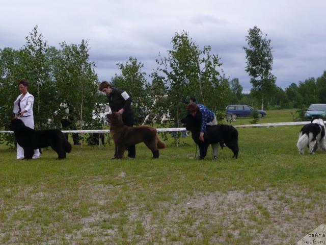 Фотография № 28550