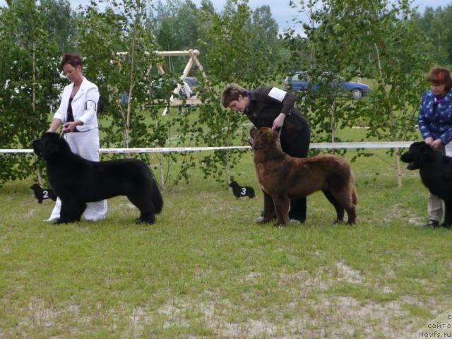 Фотография № 28552