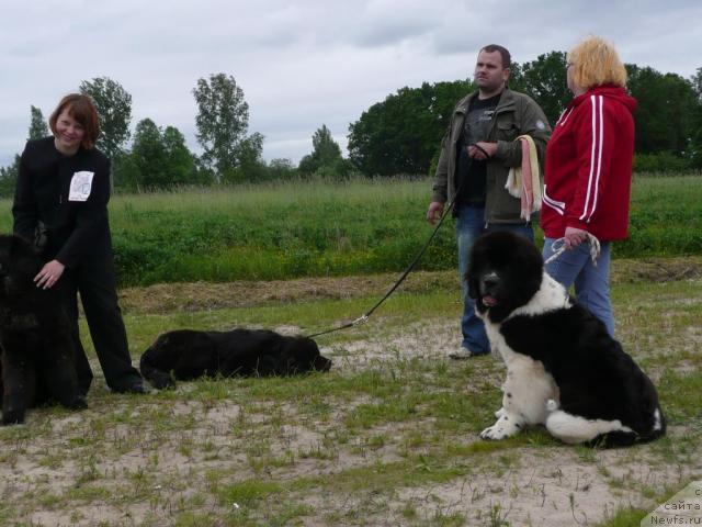 Фотография № 28555