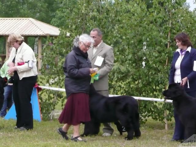 Фотография № 28564