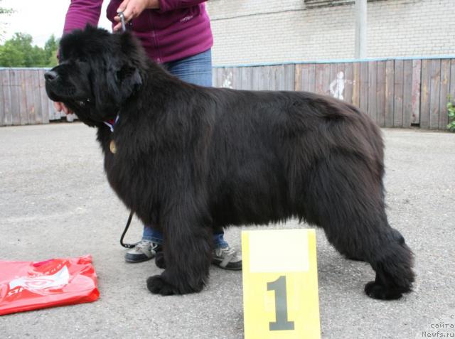 Фотография № 28581