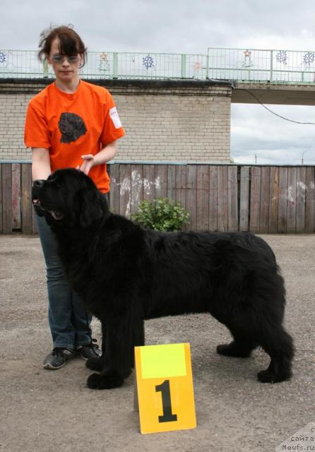 Фотография № 28583