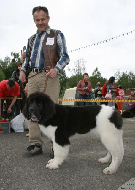 Фотография № 28584