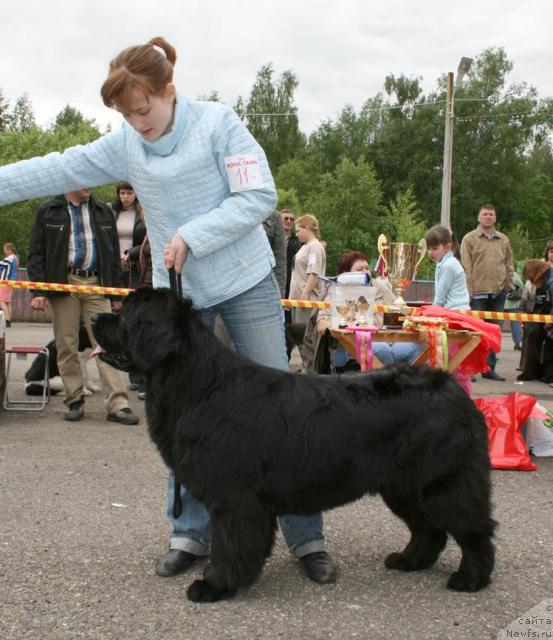 Фотография № 28588