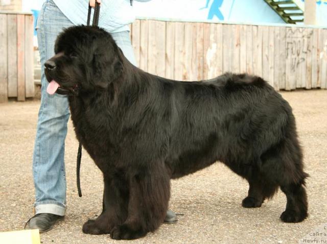 Фотография № 28589