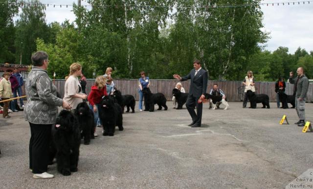 Фотография № 28593