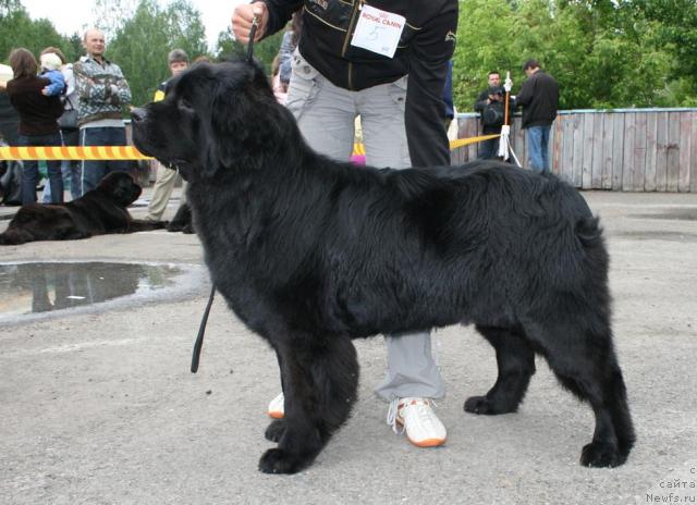 Фотография № 28594