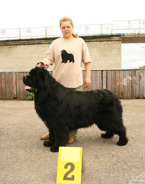 Фотография № 28595