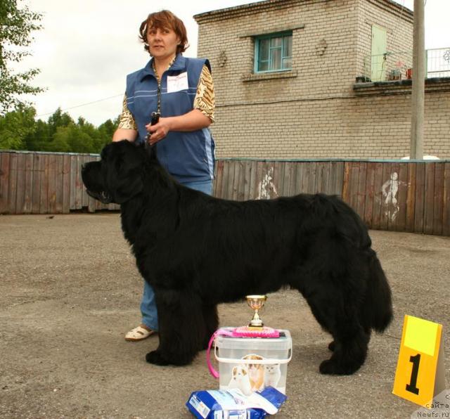 Фотография № 28597